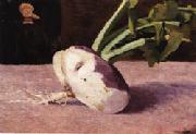 Odilon Redon Celery Root Norge oil painting reproduction